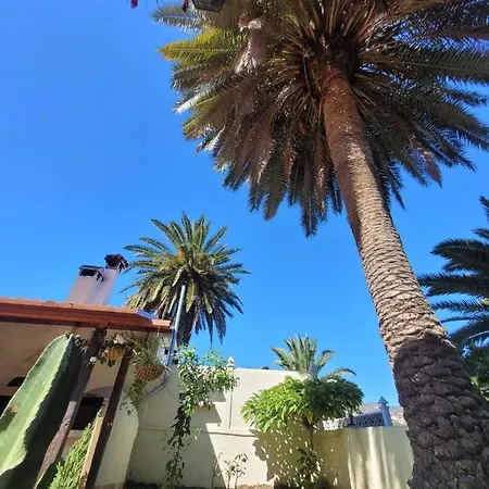 Castano Bajo - * Santa Brígida