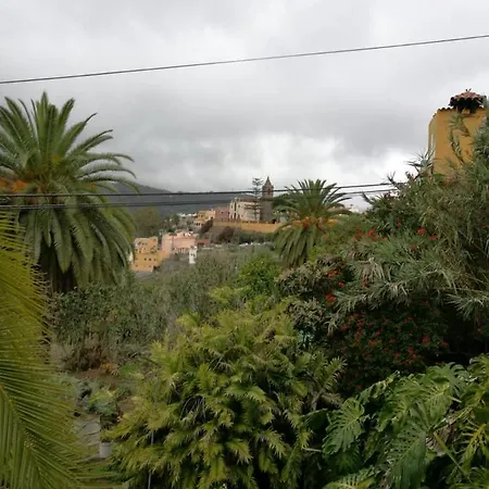Castano Bajo - *